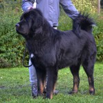 altan-corgo-kalabhairava.jpg
