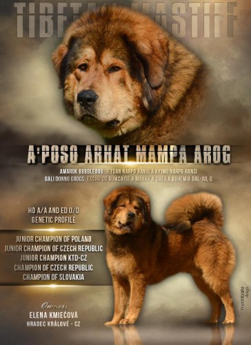 aposo-arhat-mampa-arog.jpg
