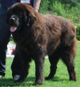 20110430_ceasar_zkaskay.jpg