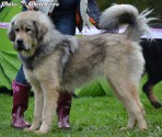 20130921_nagjukham_altancorgo.jpg