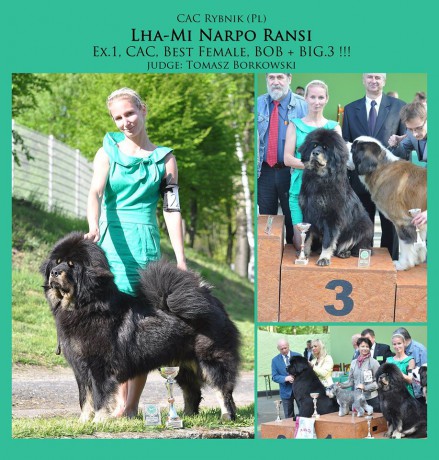 20150510 CAC Rybnik Lhami Narpo Ransi