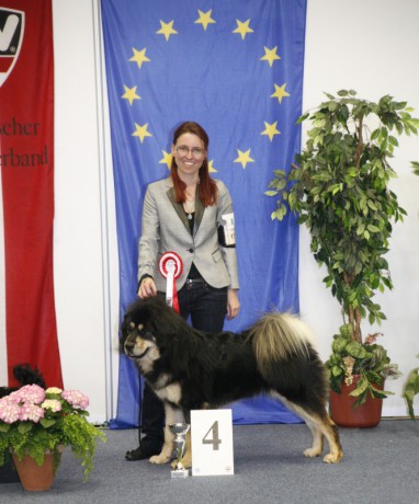 20160410 CACIB Salzburg Tara Gangkar