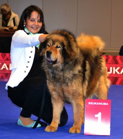 20141025 EVP Brno Dscho-Ka-Ta-Ya Altan-Corgo