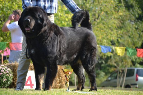 Kálabhairava Altan-Corgo