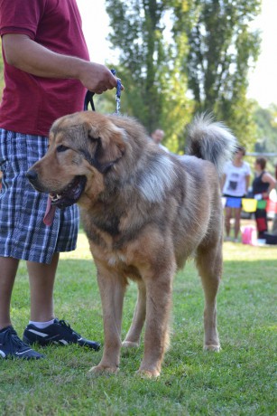 16 Radžas Altan-Corgo