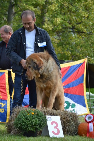 24 Radžas Altan-Corgo