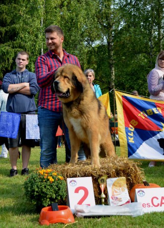 27 Kurultáj Botond