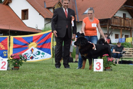 70 Iki Strážce z Tibetu