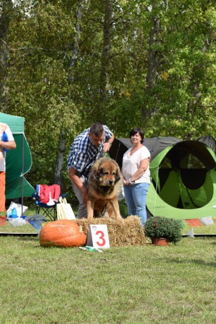 59 Palghi Beu Altan-Corgo