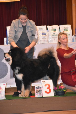 27 Norbu Tibetan Makalu