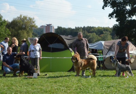 20140906 KRV Džbán Elza Re-Hla