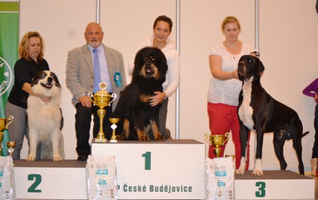 20140921 MVP České Budějovice - Chamoly Altan-Corgo BIG