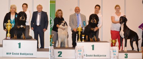 20140921 MVP České Budějovice Chamoly Altan-Corgo