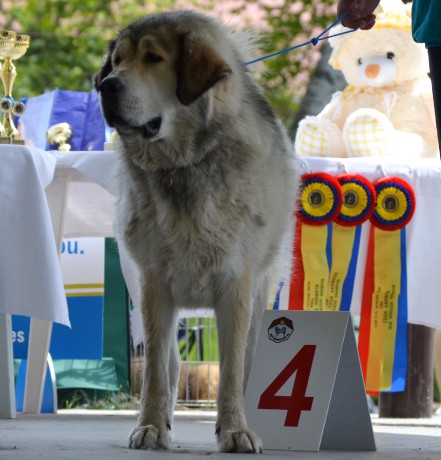 Asha Ze Zubrnickeho Gruntu