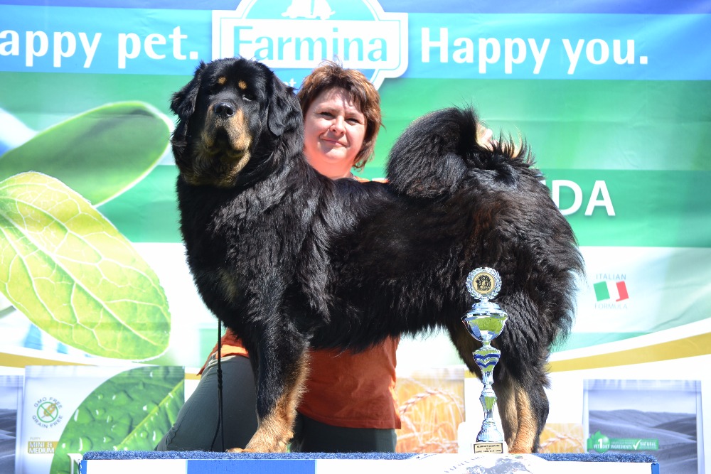 Lamphu-Salma Altan-Corgo