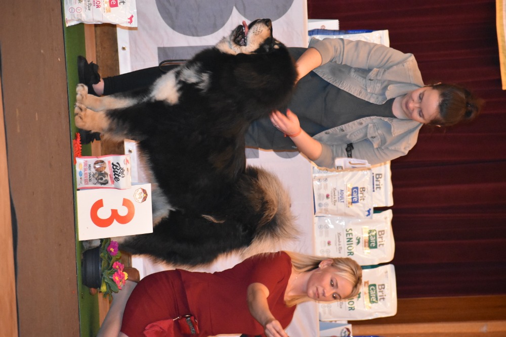 27 Norbu Tibetan Makalu