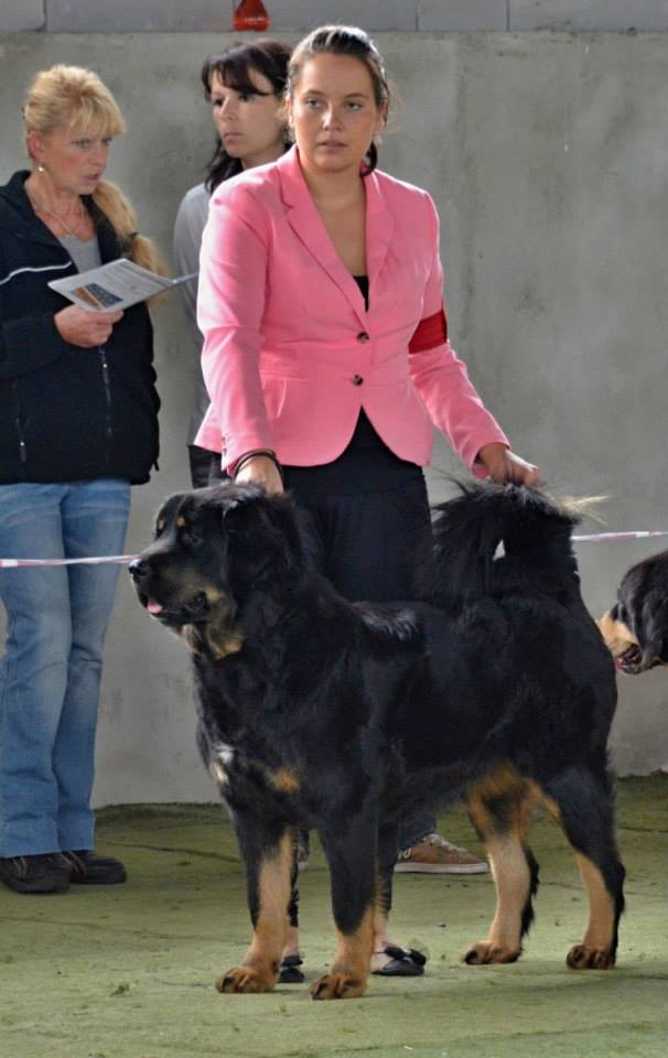 Lamphu-Salma Altan-Corgo