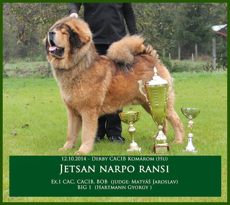 20141012 MVP Komarom Jetsan Narpo Ransi