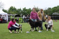 20140517-ovp-quali-bohemia-sirague.jpg