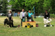 20150516-aira-saga-dava.jpg