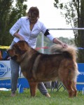 14.-hung-yen-altan-corgo.jpg