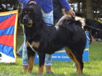 39.-oyi-dawa-altan-corgo.jpg