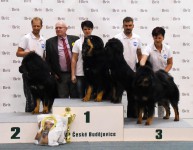 20151011-mvp-altan-corgo.jpg