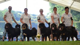 20150830-mvp-altan-corgo.jpg