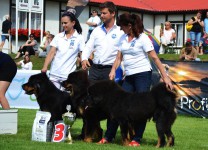 20160814-mvp-altan-corgo.jpg