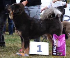 20151004-krv-uhrineves-hominem-quero-lady-lu-lu.jpg