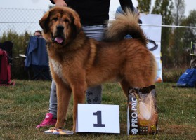 20151004-krv-uhrineves-kurultaj-botond.jpg