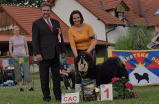 75-xalari-altan-corgo.jpg