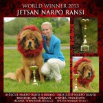 20130517_wds_jetsan_narporansi.jpg