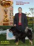 20130517_wds_dora_rehla.jpg