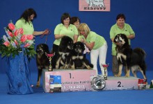 20130616_nv_oddolanskehojezu.jpg