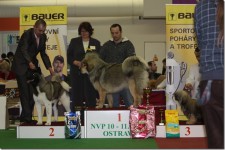 20100411_nvp_arka_rehla.jpg