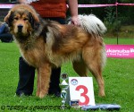 20120922_amor_zdubicanskehodvora.jpg
