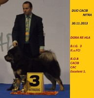 20131130_mvp_dora_rehla.jpg