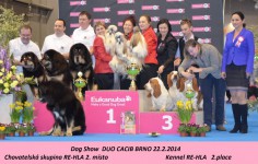 20140222_rehla_mvp_brno.jpg